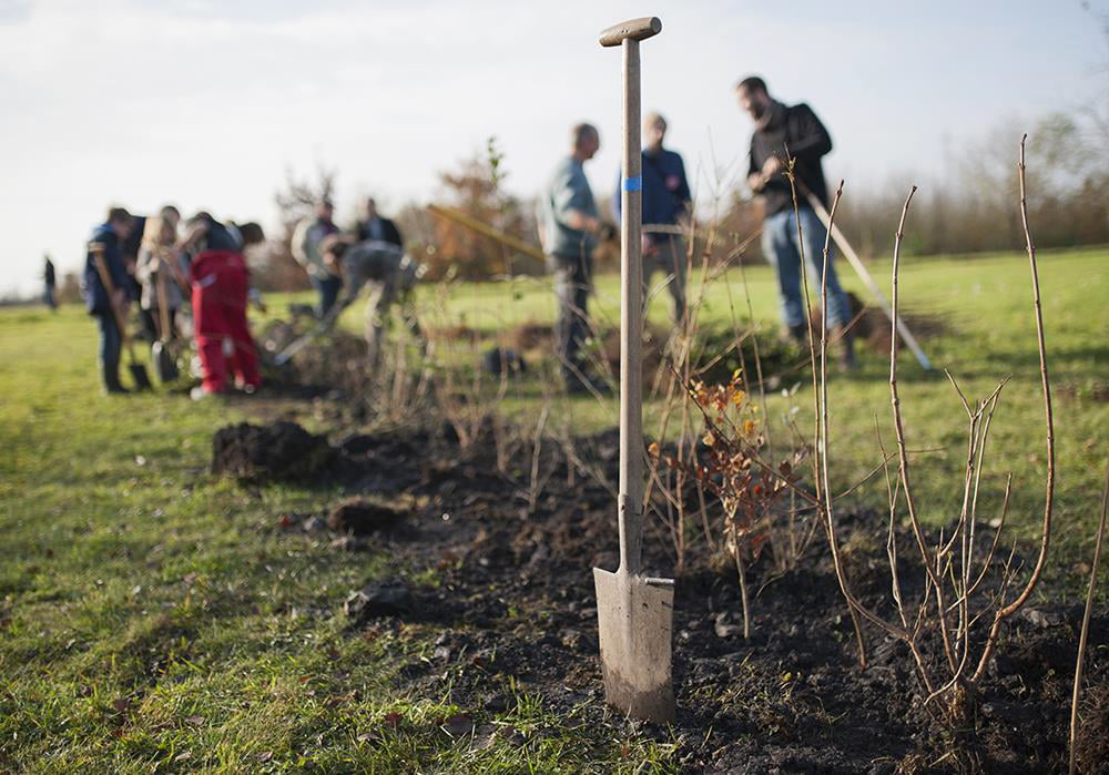 En 2018, Albert Vieille a contribué à la plantation de 600 arbres