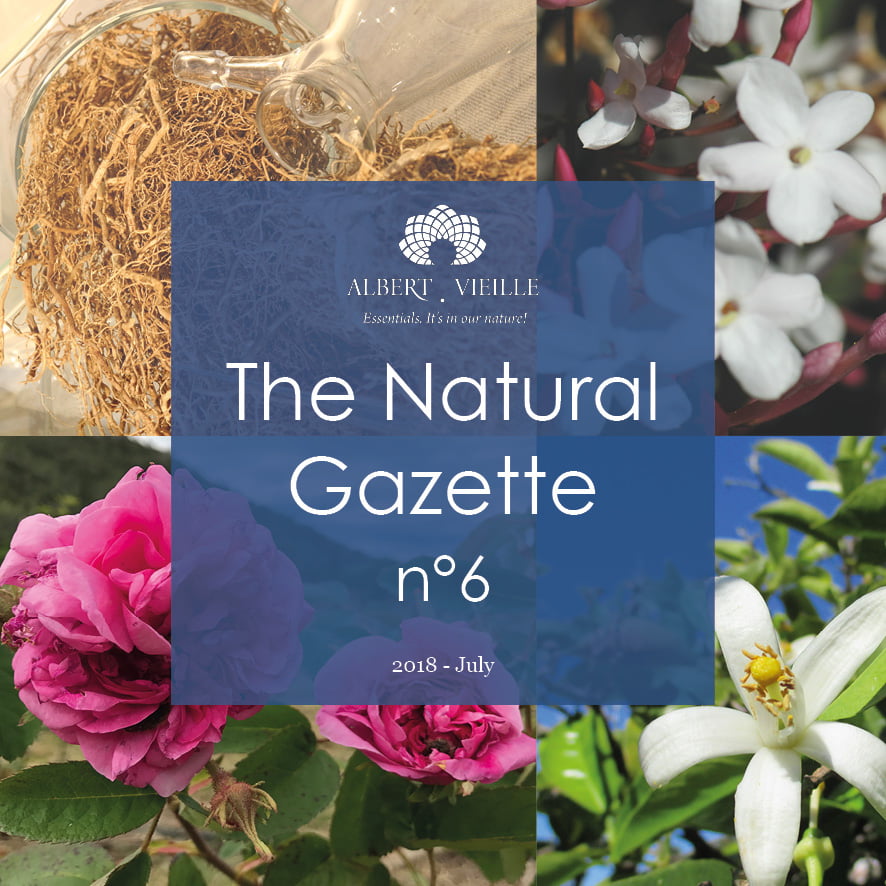 The Natural Gazette N°6