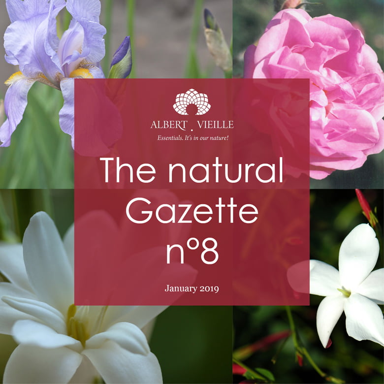 The Natural Gazette N°8