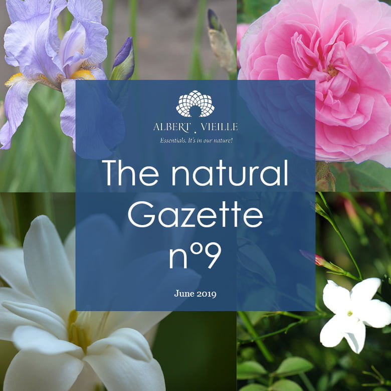 The Natural Gazette N°9