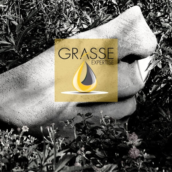 Our Grasse Expertise membership has been renewed