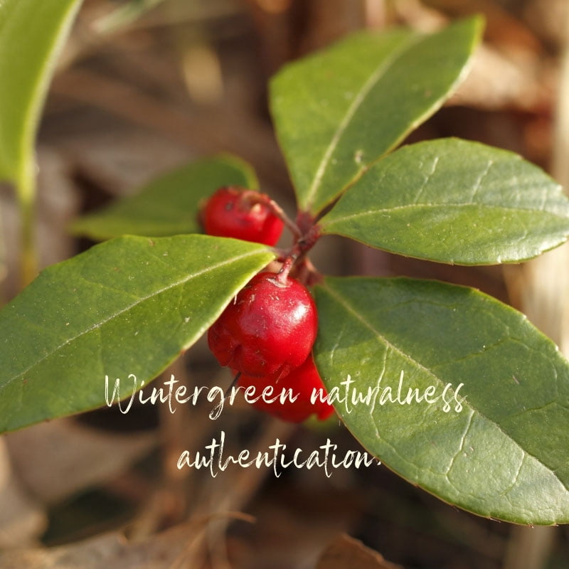 Etude sur l’authentification du Wintegreen présentée à Aromadays