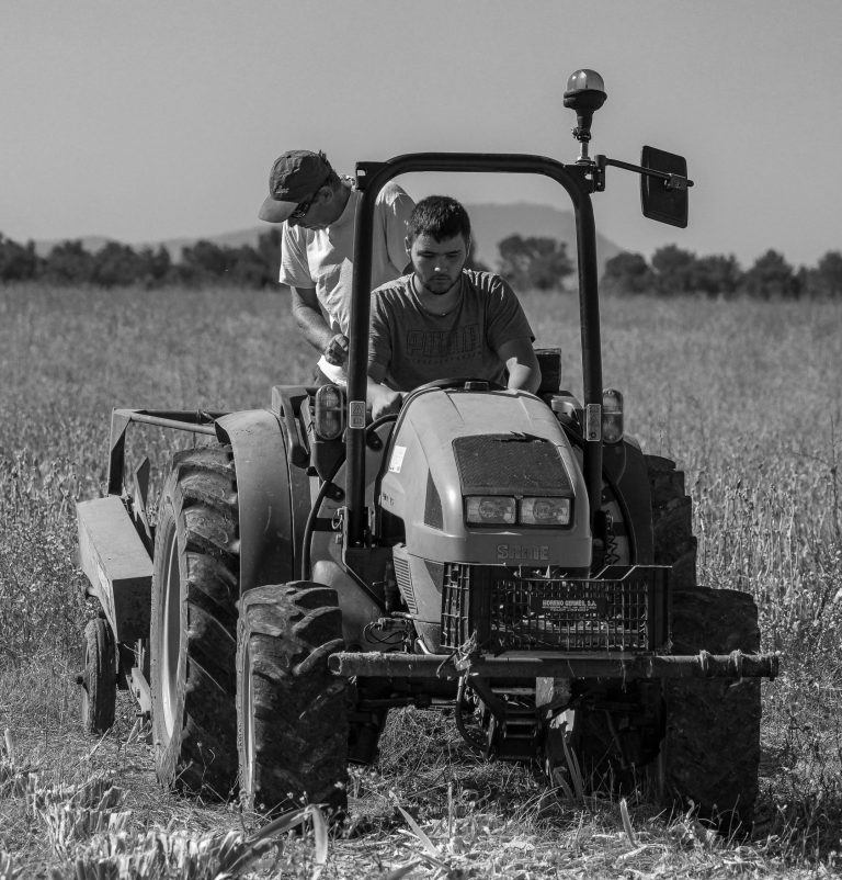 Oyas émaillées en terre cuite. Vente aux professionels_1