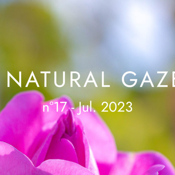 The Natural Gazette n°17