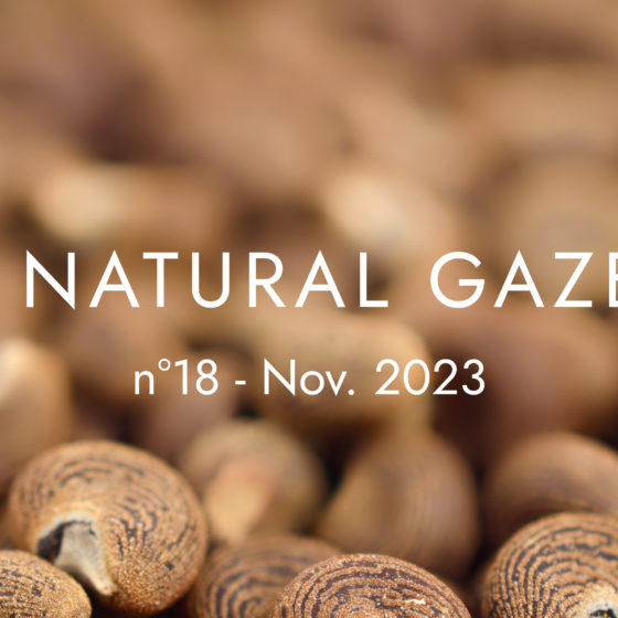 Natural Gazette n°18